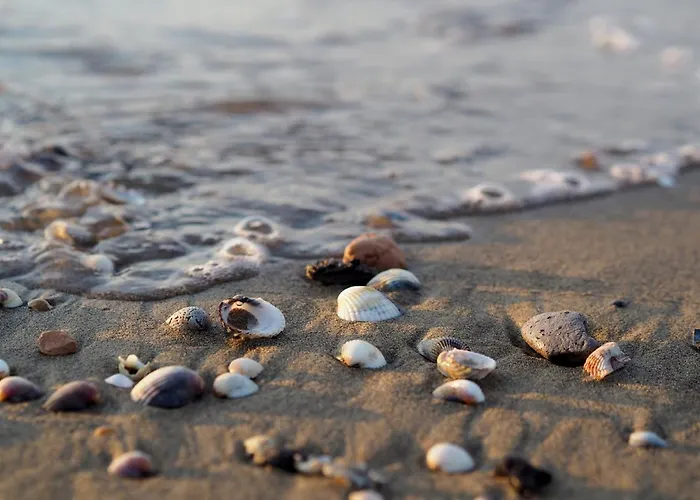 Colourful Flat In The Heart Of דירה